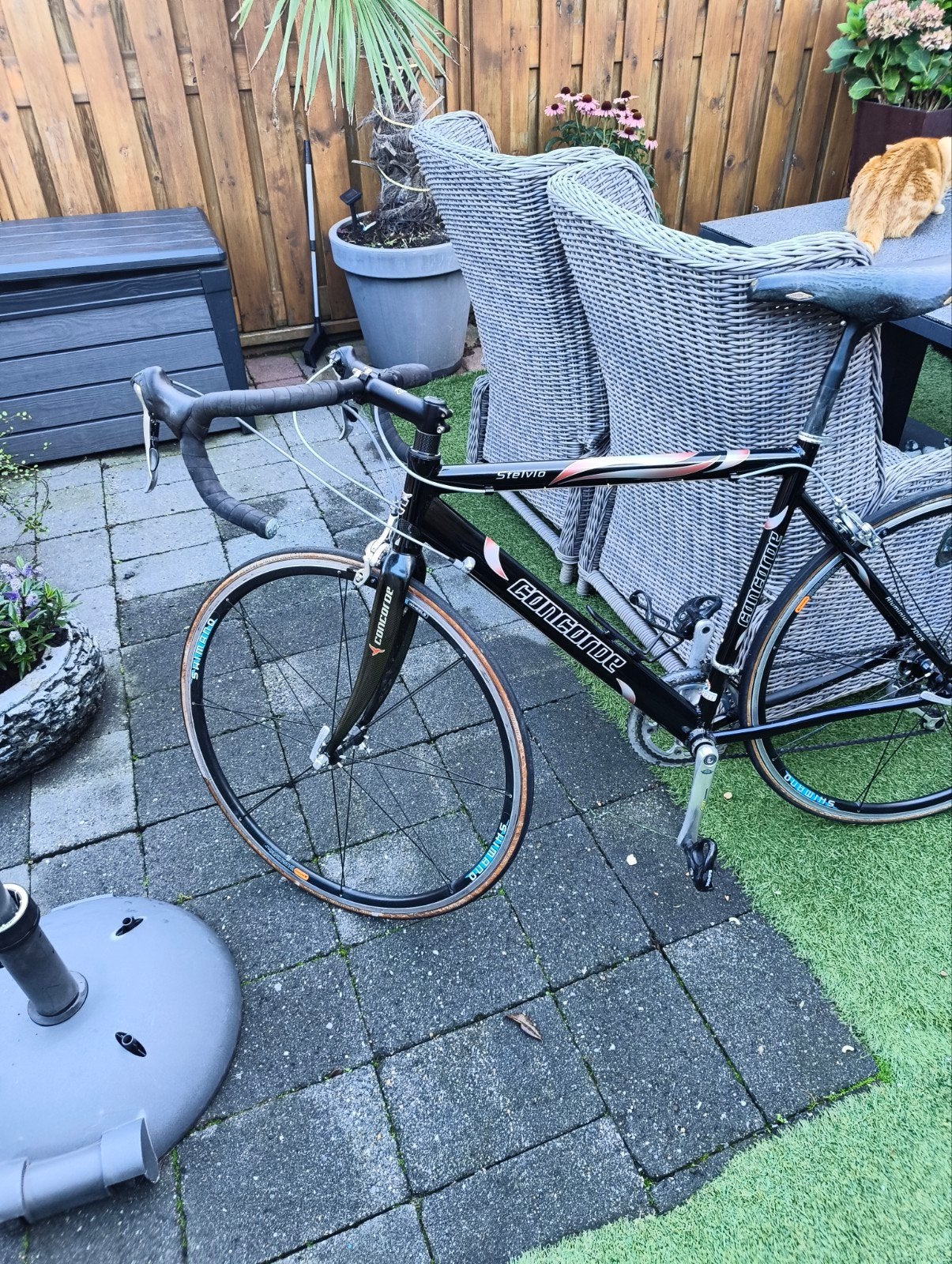 Concorde Stelvio racefiets speciale wielen, Fietsen en Brommers, Aluminium, Zo goed als nieuw, Meer dan 20 versnellingen, 53 tot 57 cm