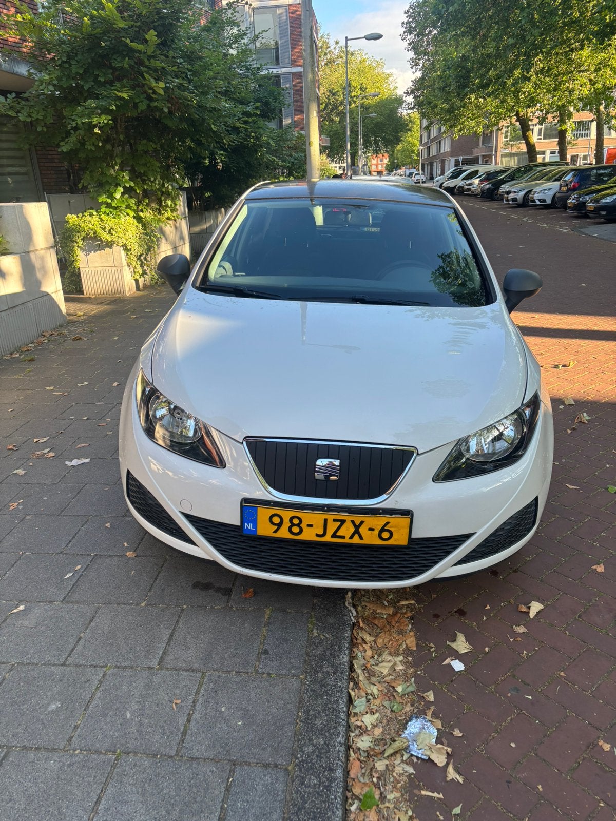 Seat Ibiza 1.2 44KW 5DRS 2009 Wit apk 10/2026, Voorwielaandrijving, 40 €/maand, 1198 cc, Origineel Nederlands