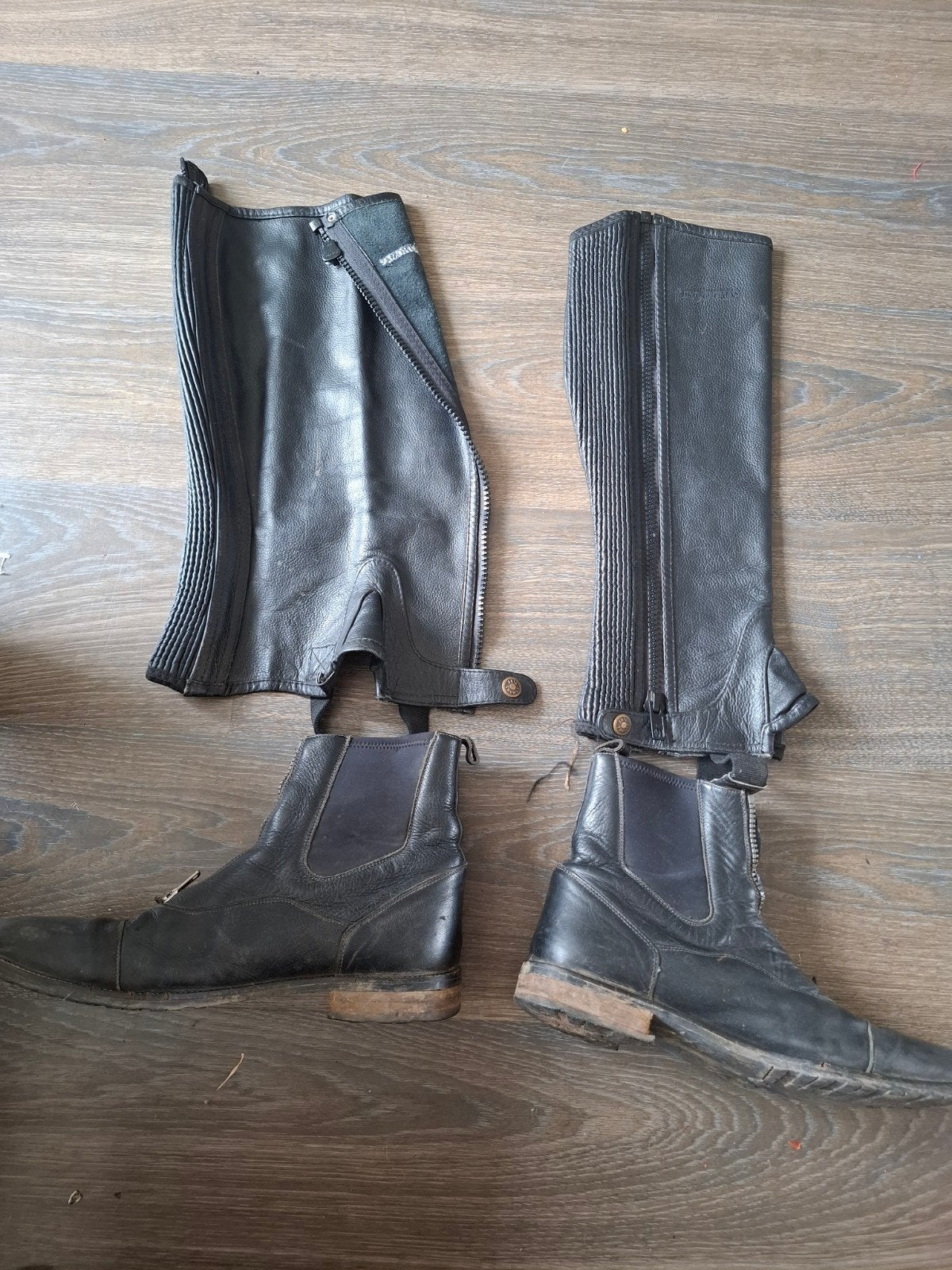 rijlaarzen maat 43, Ophalen of Verzenden, Dressuur