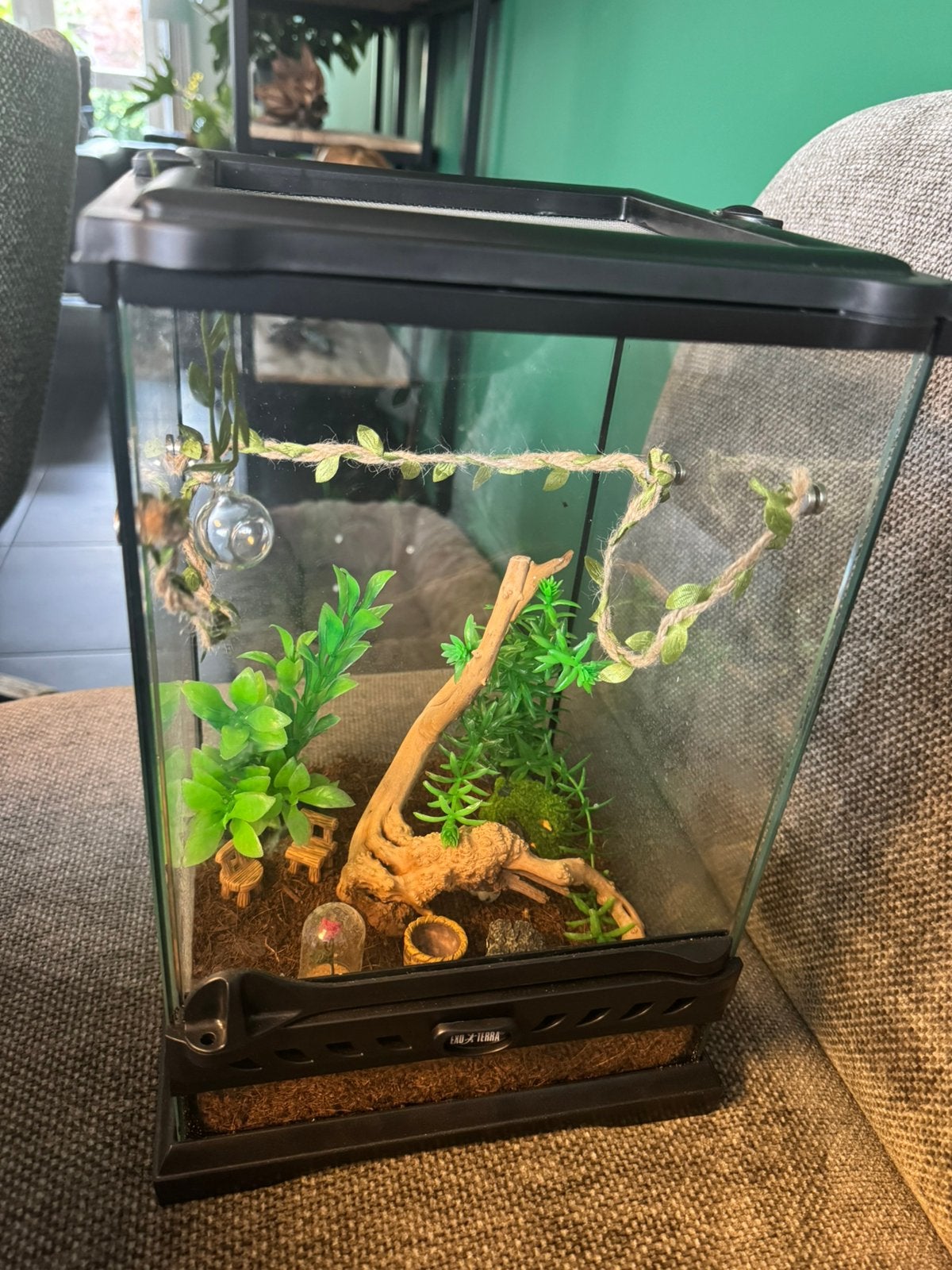 Exo terra 20x20x30, Ophalen, Zo goed als nieuw, Terrarium of Paludarium