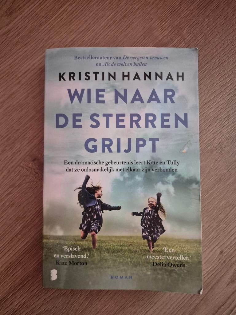Wie naar de sterren grijpt - Kristin Hannah, Boeken, Ophalen of Verzenden, Gelezen, Kristin Hannah, Nederland