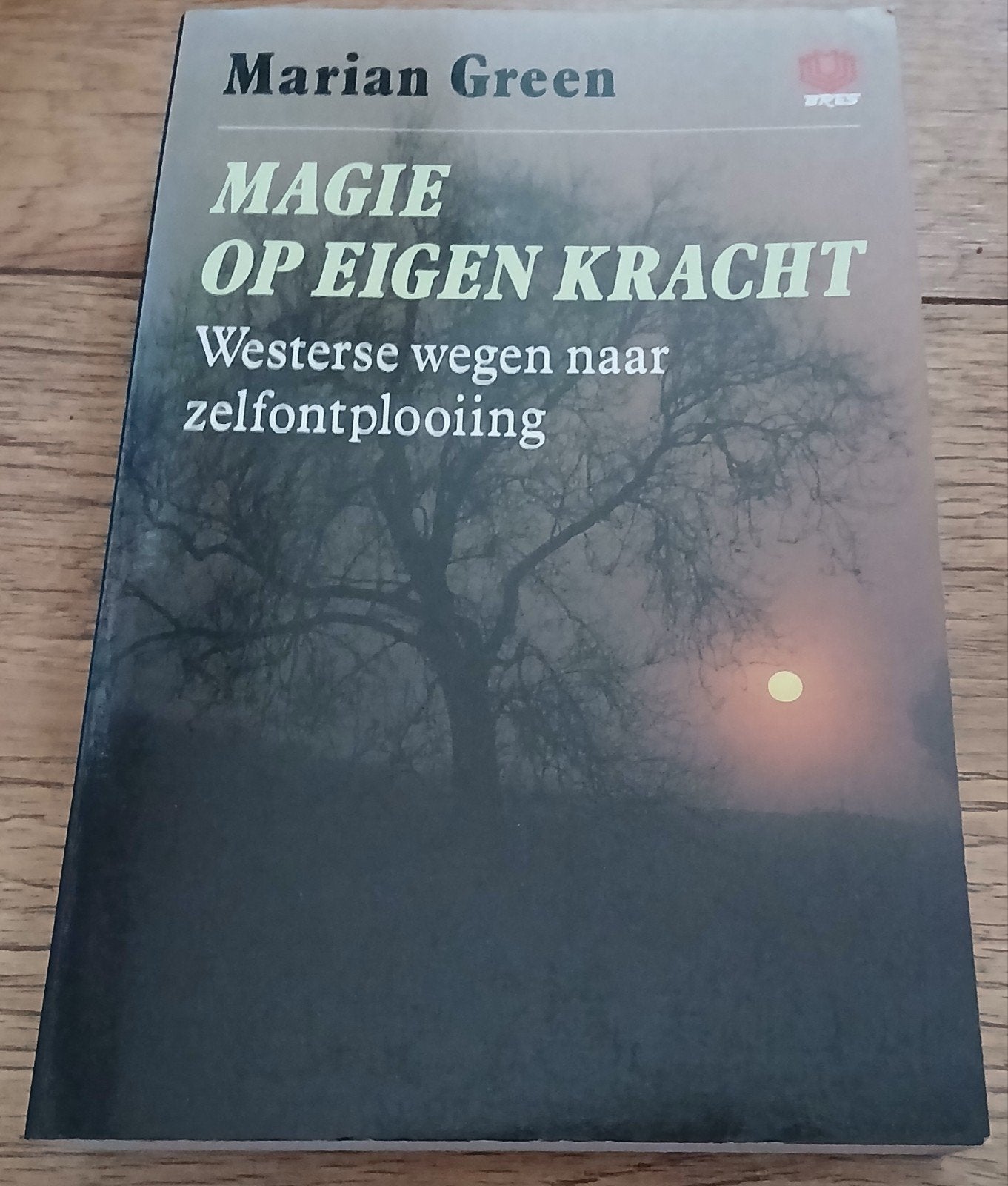 Marian Green, Magie op eigen kracht, Boeken, Esoterie en Spiritualiteit, Ophalen of Verzenden, Gelezen