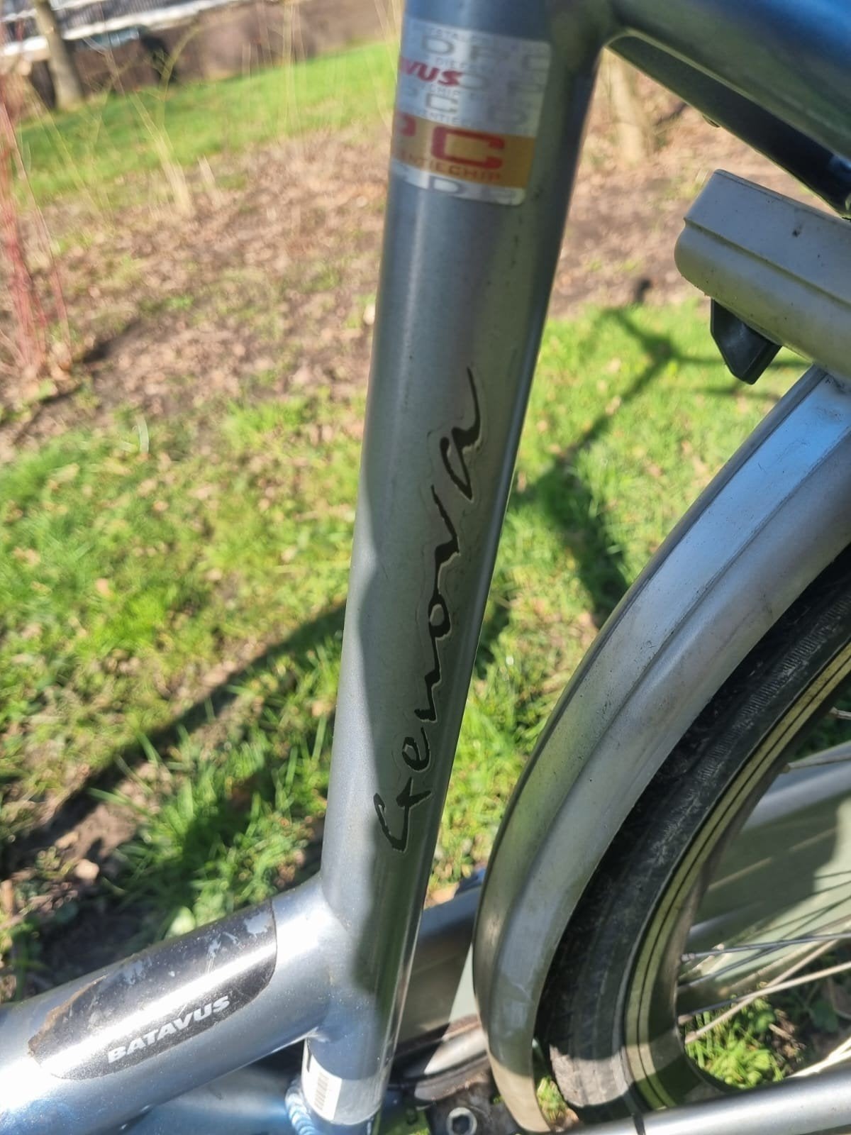 Foto 20 van Batavus Genova Damesfiets - 28 inch, 8 versnellingen