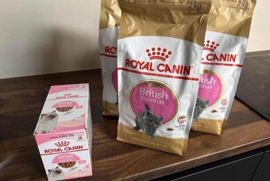 Royal Canin Briste korthaar (kitten) voer, Dieren en Toebehoren, Ophalen, Kat