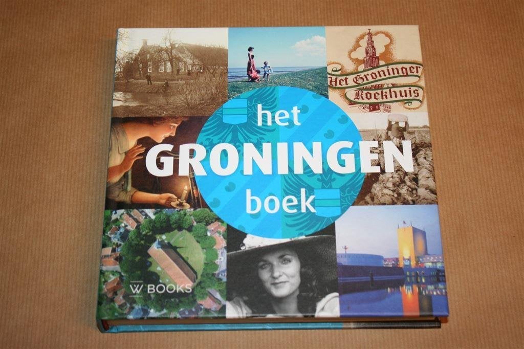 Het Groningen boek, Ophalen of Verzenden, Zo goed als nieuw