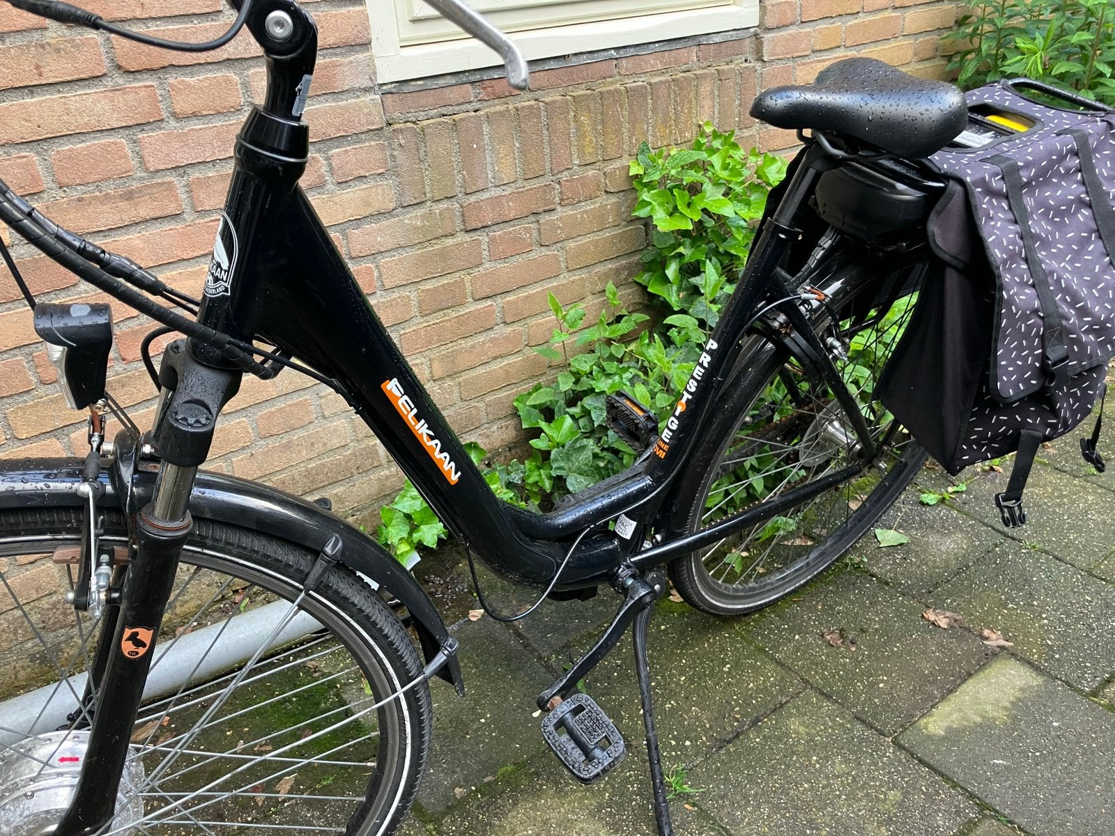 Pelikaan E-bike Damesfiets met Fietstassen, Gebruikt, 51 tot 55 cm, 30 tot 50 km per accu, Ophalen