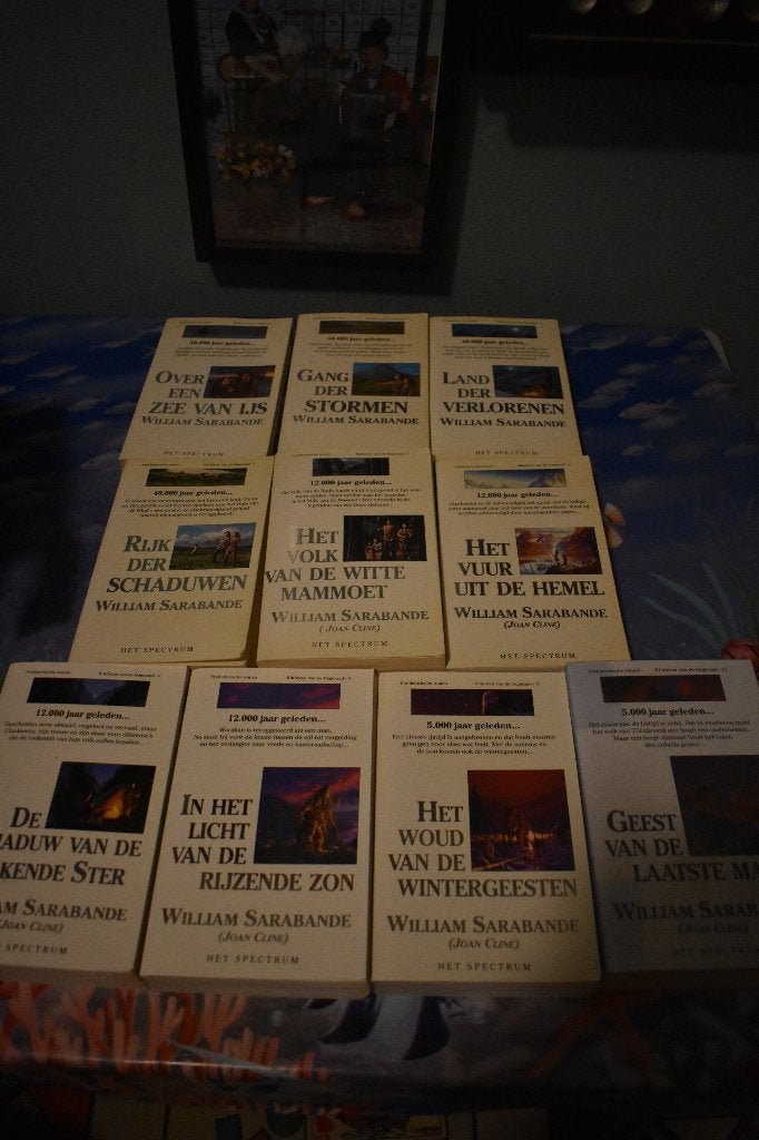 6 boeken van William Sarabande, € 4,00 per stuk, Boeken, Ophalen of Verzenden, Gelezen, William Sarabande