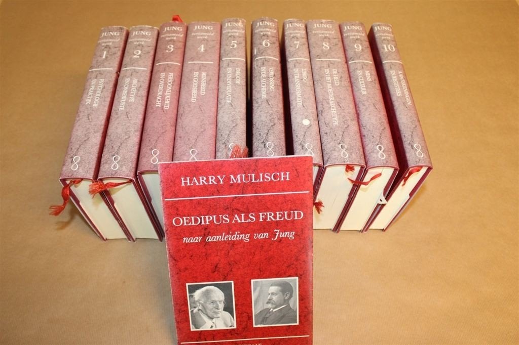 C.G. Jung - Verzameld Werk + Biografie, Ophalen of Verzenden, Zo goed als nieuw, Ontwikkelingspsychologie