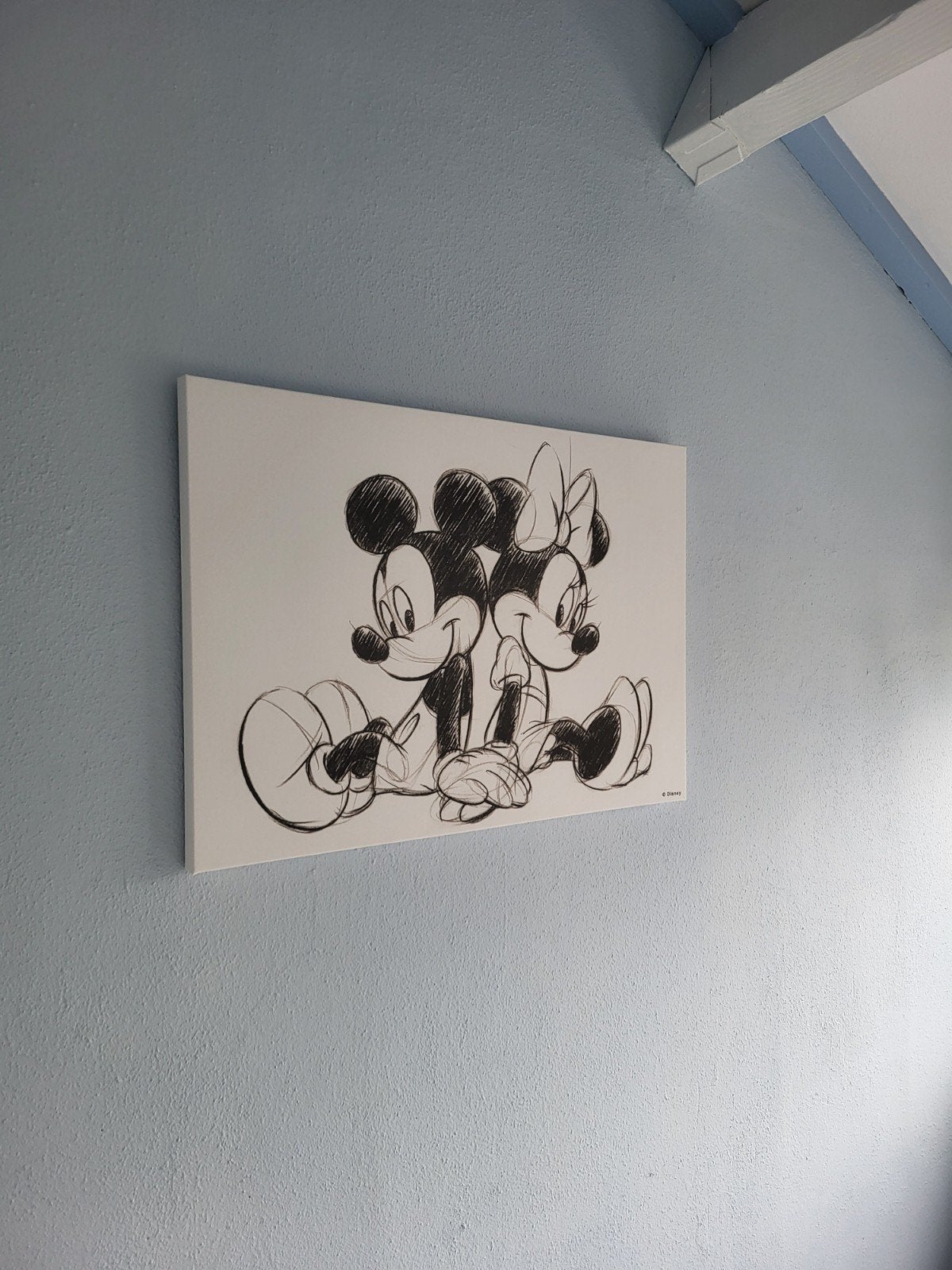 canvas Disney doek, Ophalen, Gebruikt, Wanddecoratie