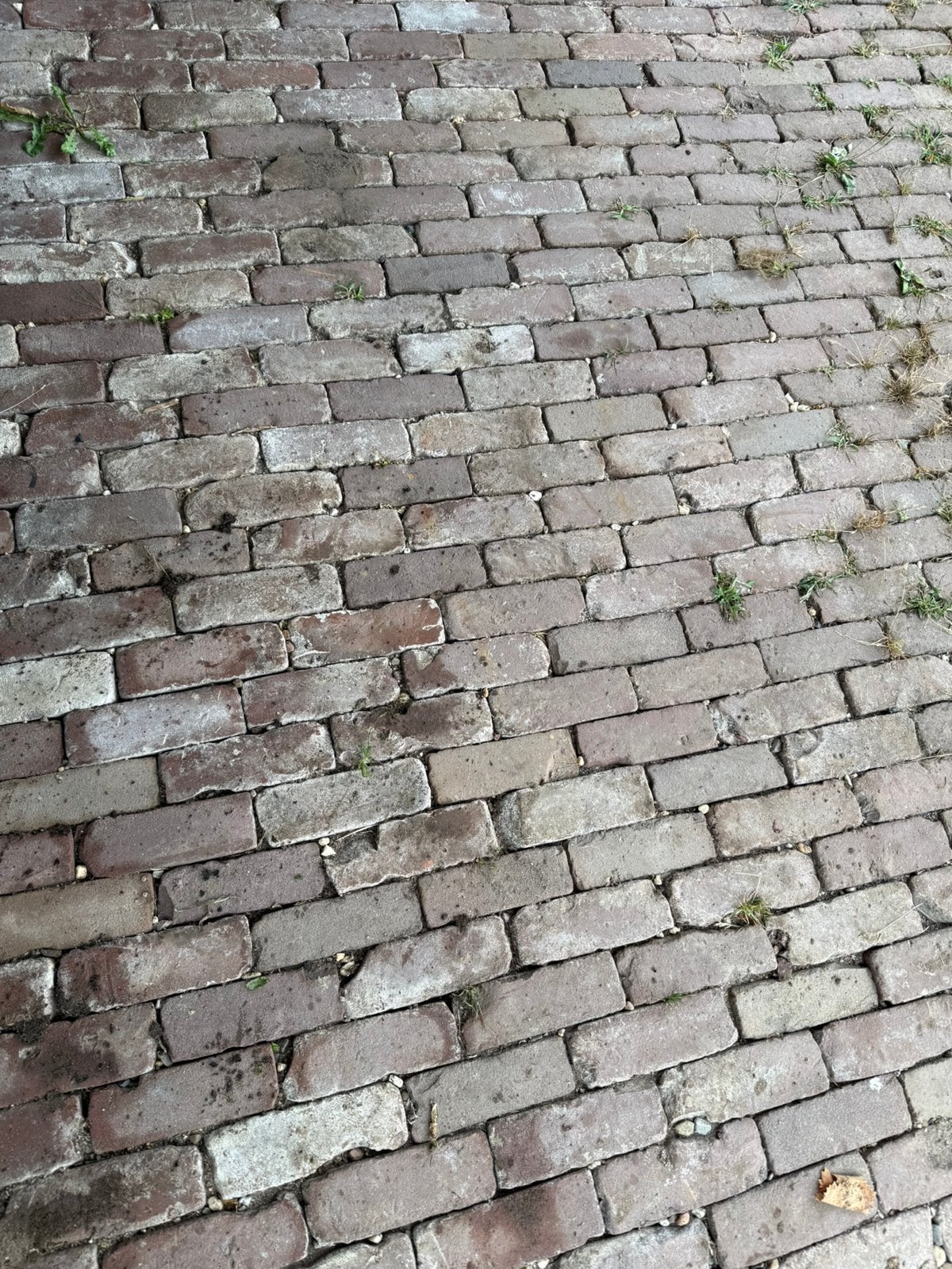 Gebakken dikformaat klinkers ca. 46m2, Tuin en Terras, Tegels en Klinkers, Ophalen, Klinkers