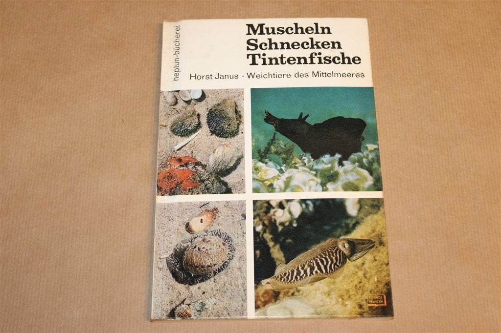 Muscheln, Schnecken, Tintenfische — Middellandse Zee 1964, Ophalen of Verzenden, Gelezen