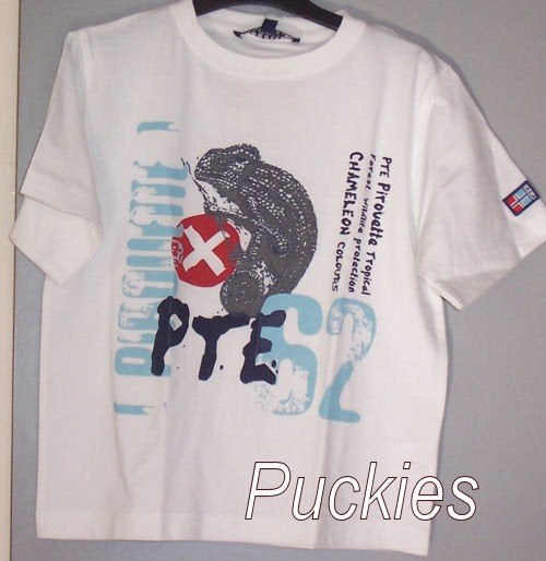 Maat 104 Wit Pirouette t-shirt NIEUW (6824) a, Kinderen en Baby's, Kinderkleding | Maat 104, Nieuw, Ophalen of Verzenden, Shirt of Longsleeve