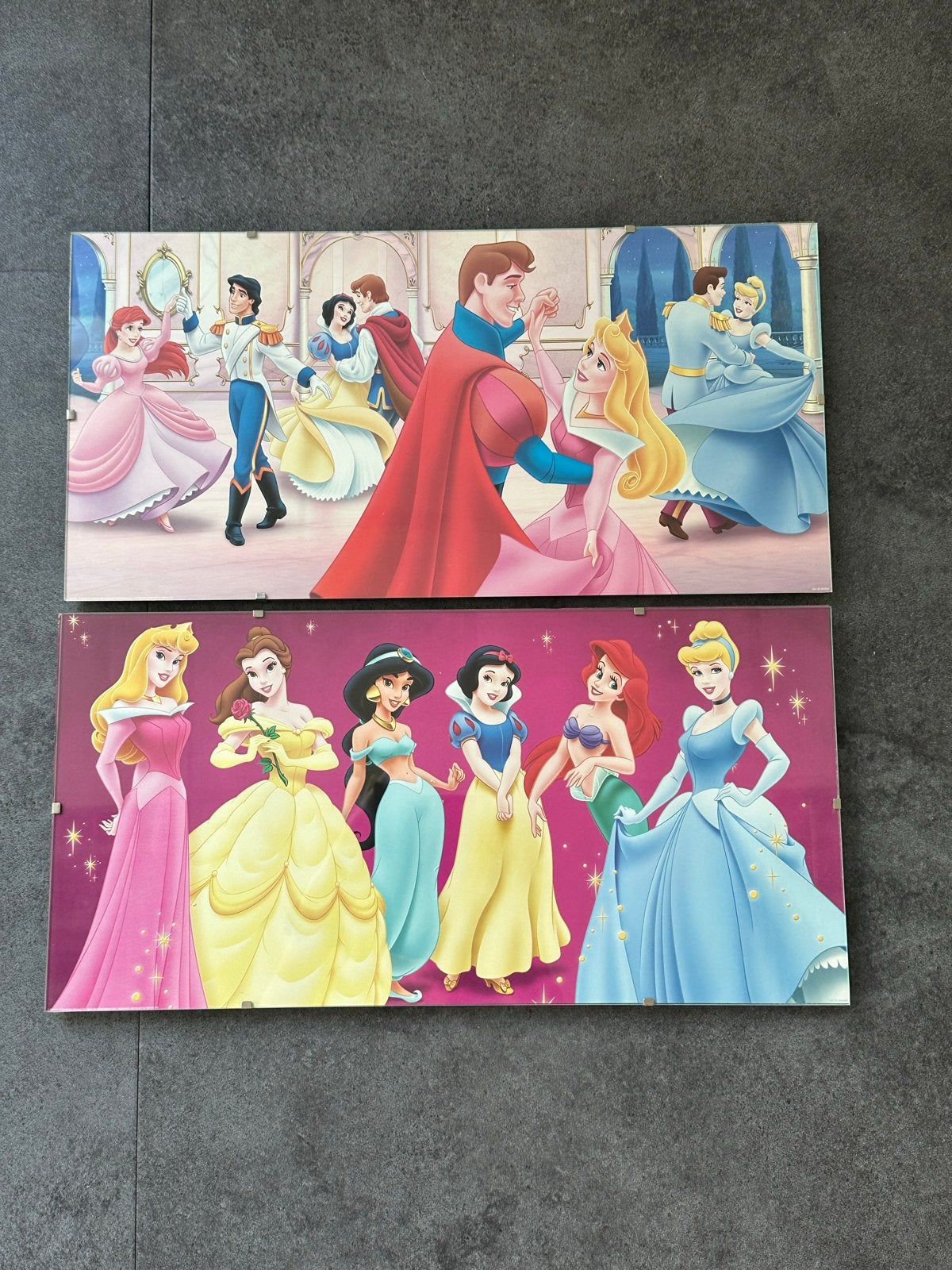 2 Disney prinsessen schilderijen 40x20 cm, Minder dan 50 cm, Gebruikt, Ophalen of Verzenden, Foto of Poster