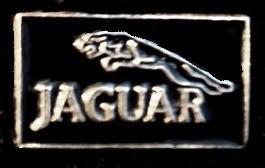 Jaguar pin- klein zwart gelakt, Verzenden, Nieuw, Transport, Speldje of Pin