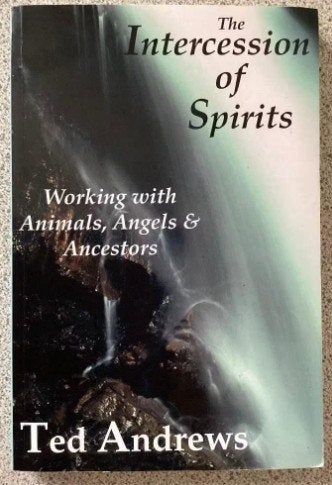 The Intercession of Spirit - Ted Andrews, Boeken, Achtergrond en Informatie, Spiritualiteit algemeen, Ted Andrews, Ophalen of Verzenden