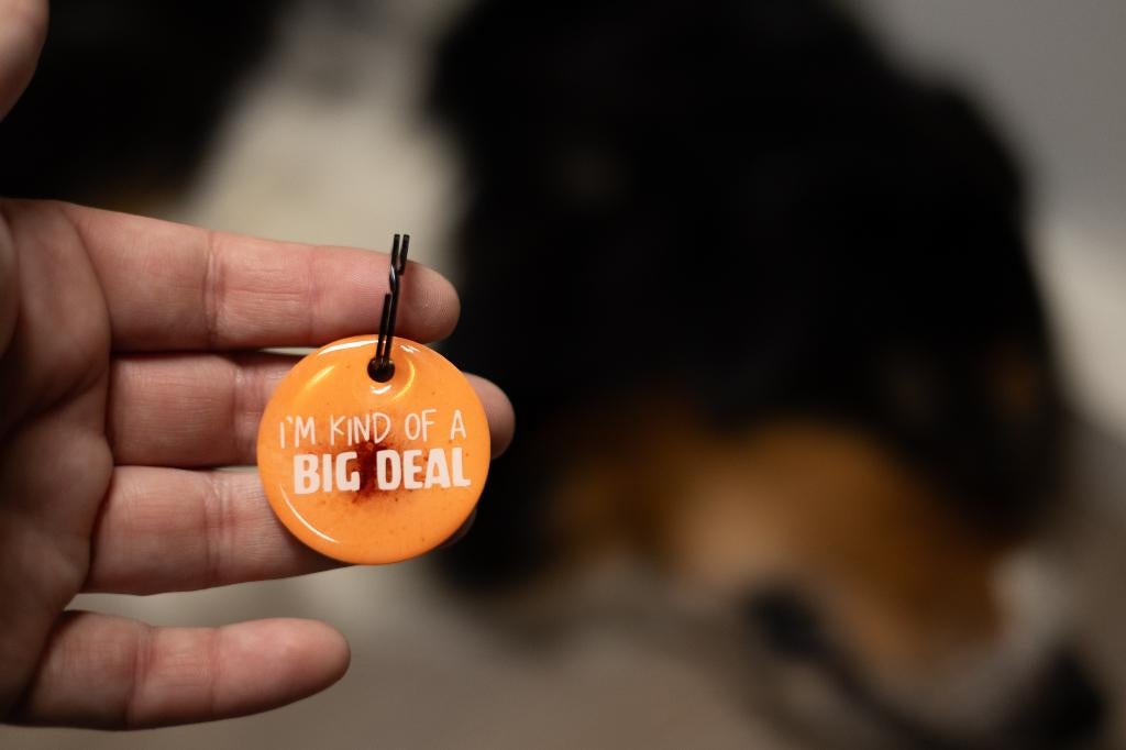 Leuke hondenpenning - I'm kind of a big deal, Waddinxveen, Mandy@cracker-jack.nl, Verzenden, Nieuw