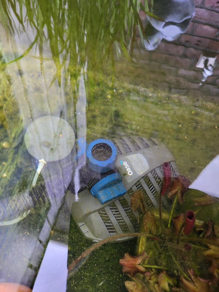 VIJVERTOEBEHOREN COMPLETE VIJVER, Ophalen, Zo goed als nieuw, Overige typen