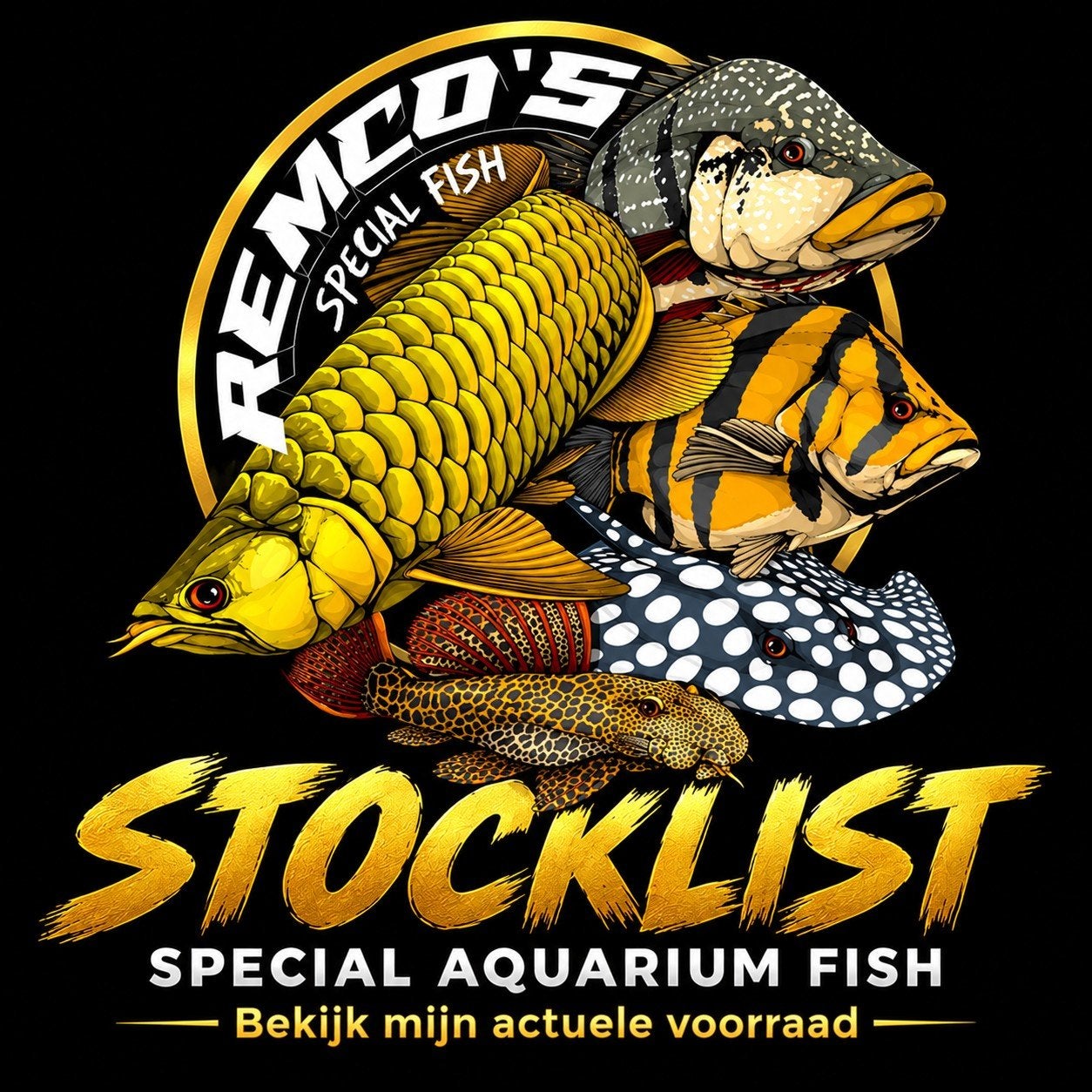 Remco's Special Fish Stocklist / voorraadlijst, Dieren en Toebehoren, Vis, Zoetwatervis