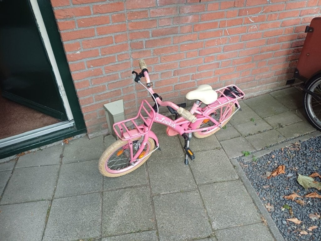 Roze Loekie kinderfiets met zijwieltjes en mandjes houder, Ophalen, Zijwieltjes, Velgrem, Loekie