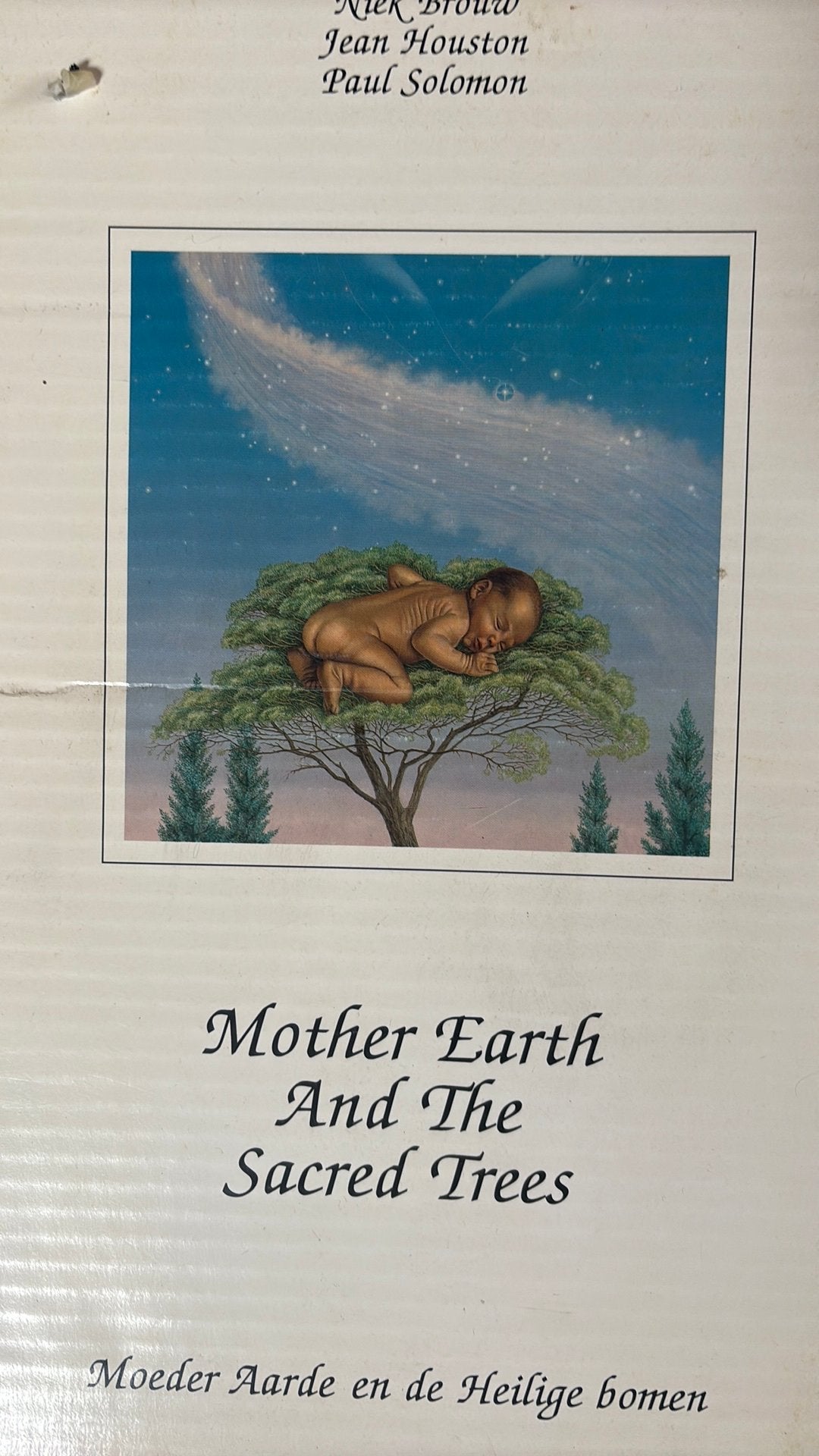 Mother Earth And The Sacred Trees - Diana Vandenberg, Ophalen of Verzenden, Zo goed als nieuw, Spiritualiteit algemeen, Achtergrond en Informatie