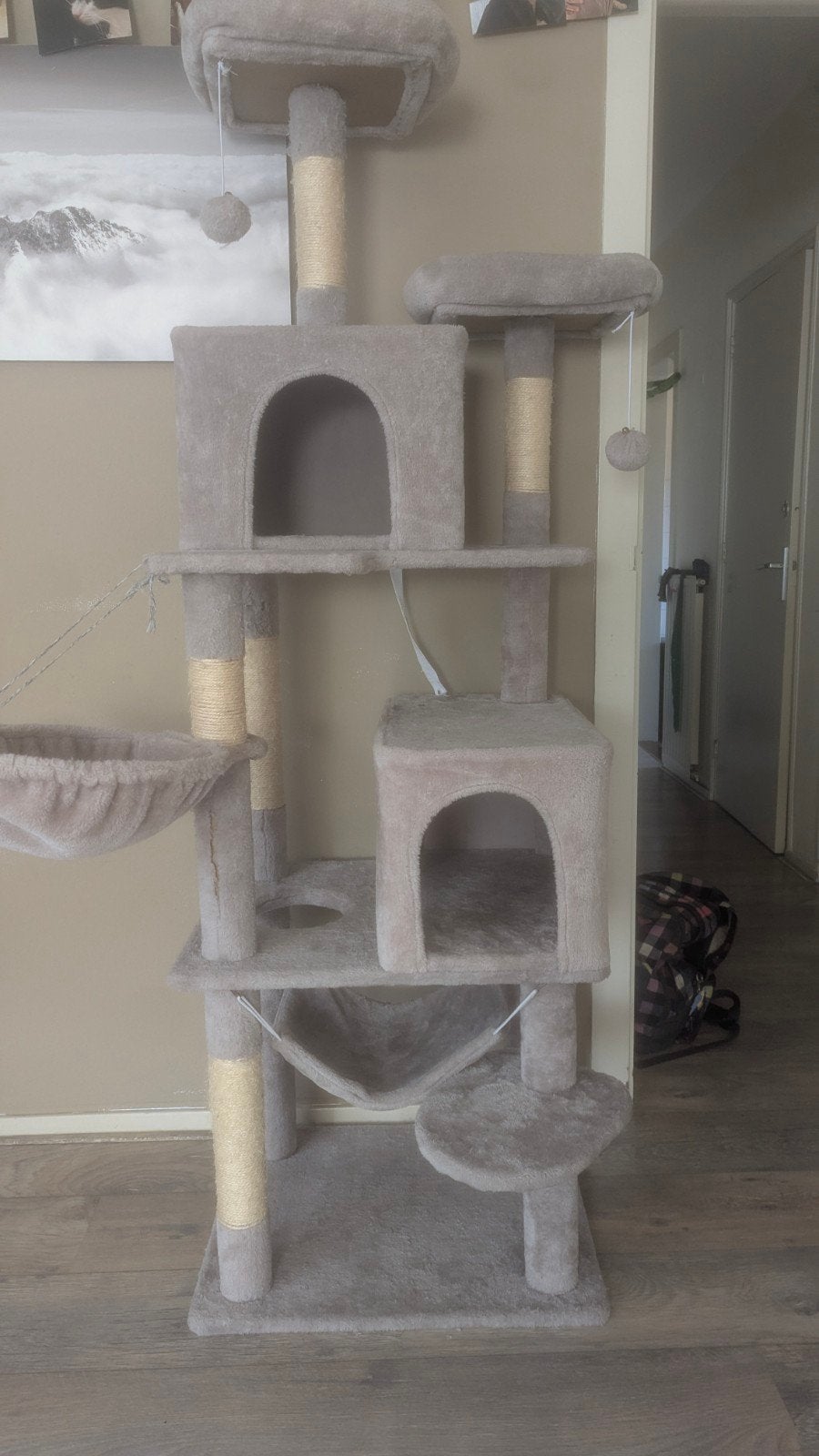 Cat tree, Ophalen
