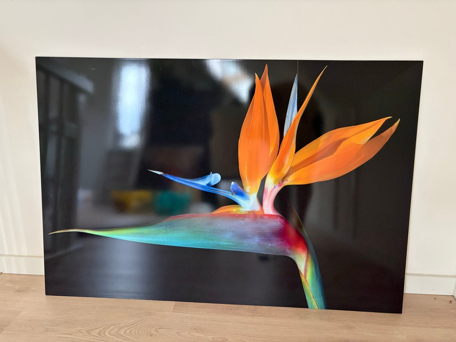 Aluminium Schilderij Paradijsvogelbloem - 80x120 cm, Ophalen, Metaal, Print, Bloemen