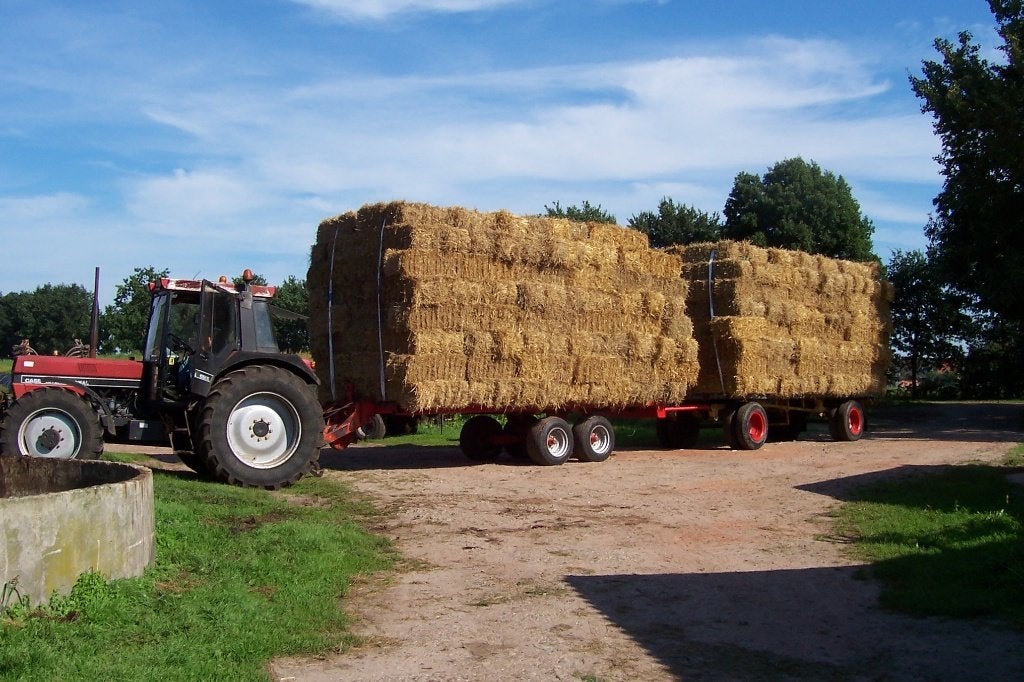 gerste stro en tarwe stro, Ophalen of Verzenden, Vee