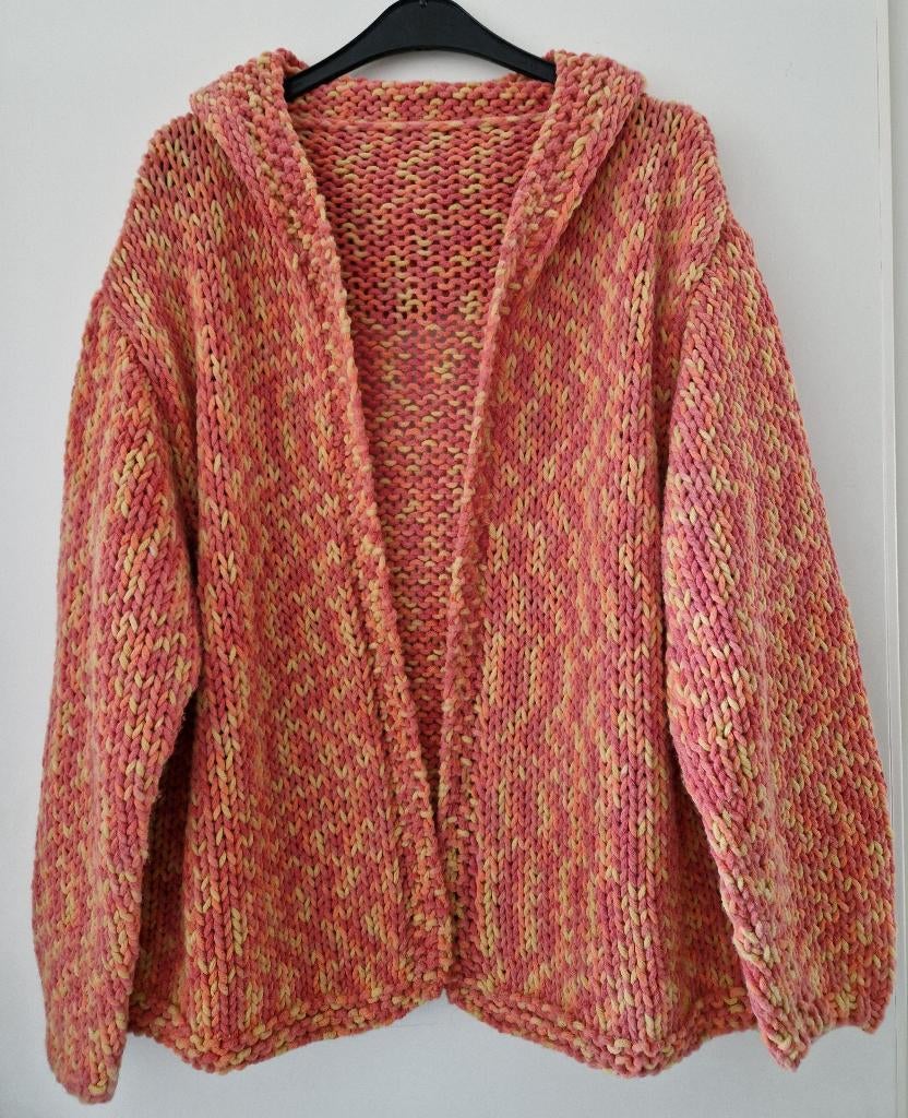 Gebreid dames vest met capuchon maat M / L *c, Ophalen of Verzenden, Nieuw, Maat 38/40 (M)
