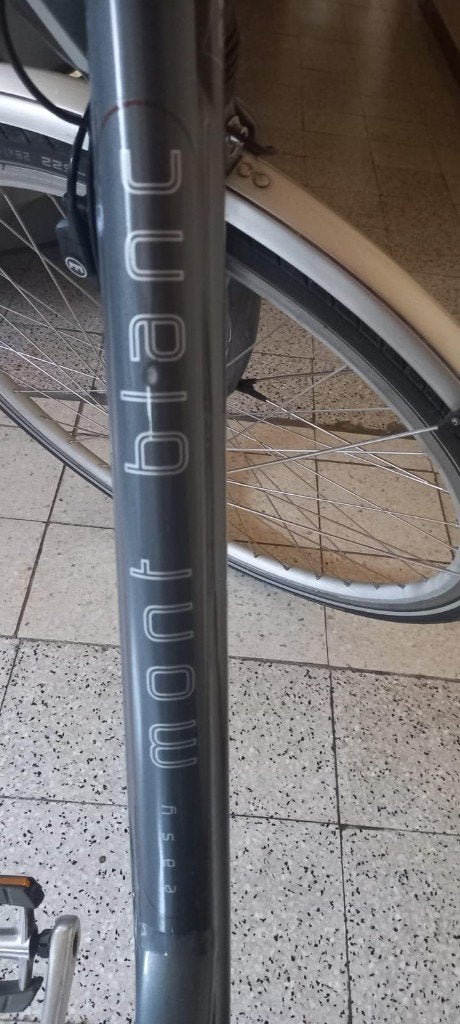 Foto 4 van Batavius elektrische fiets