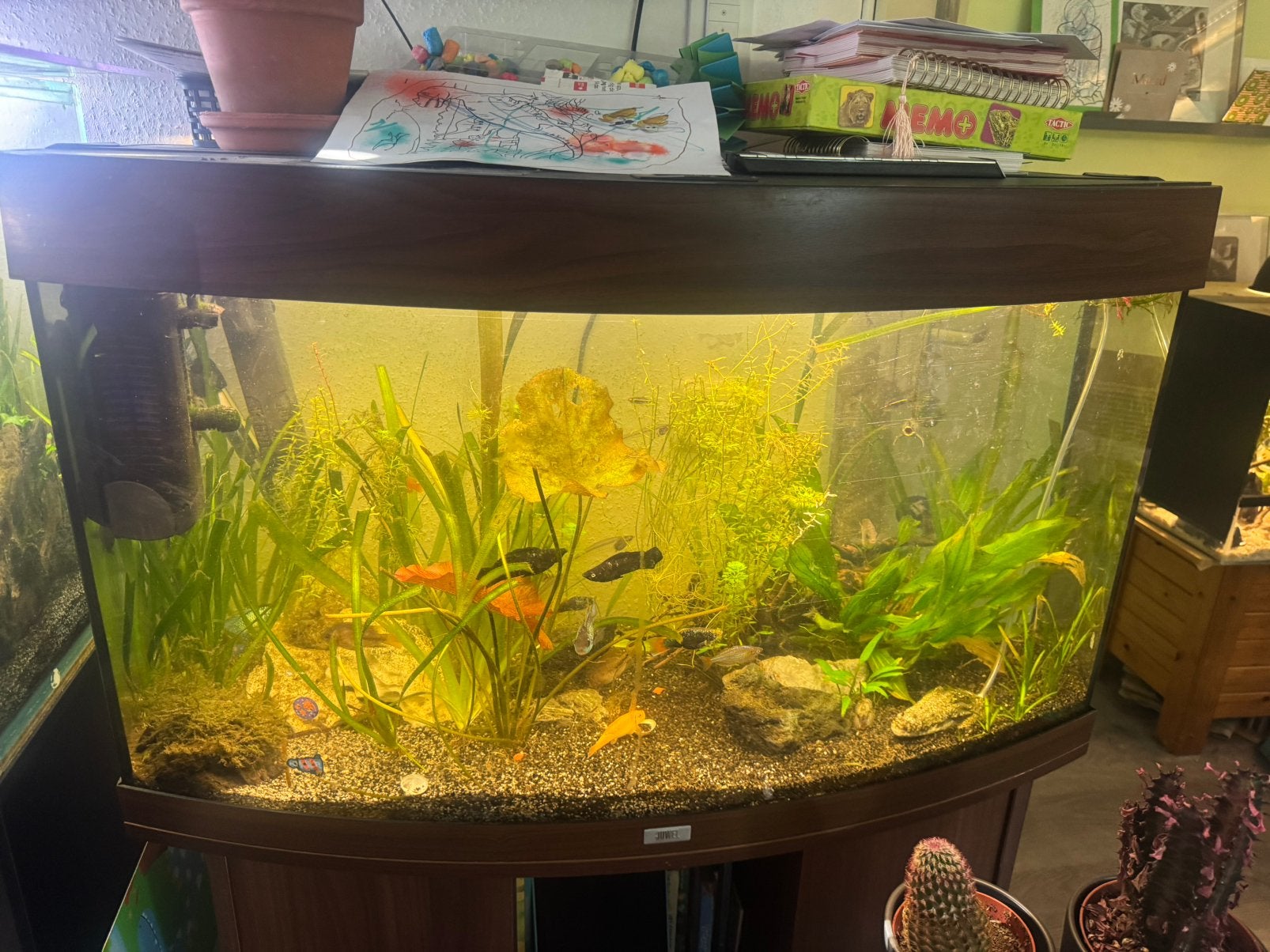 Juwel vision 180, Dieren en Toebehoren, Ophalen, Gebruikt, Leeg aquarium, Juwel
