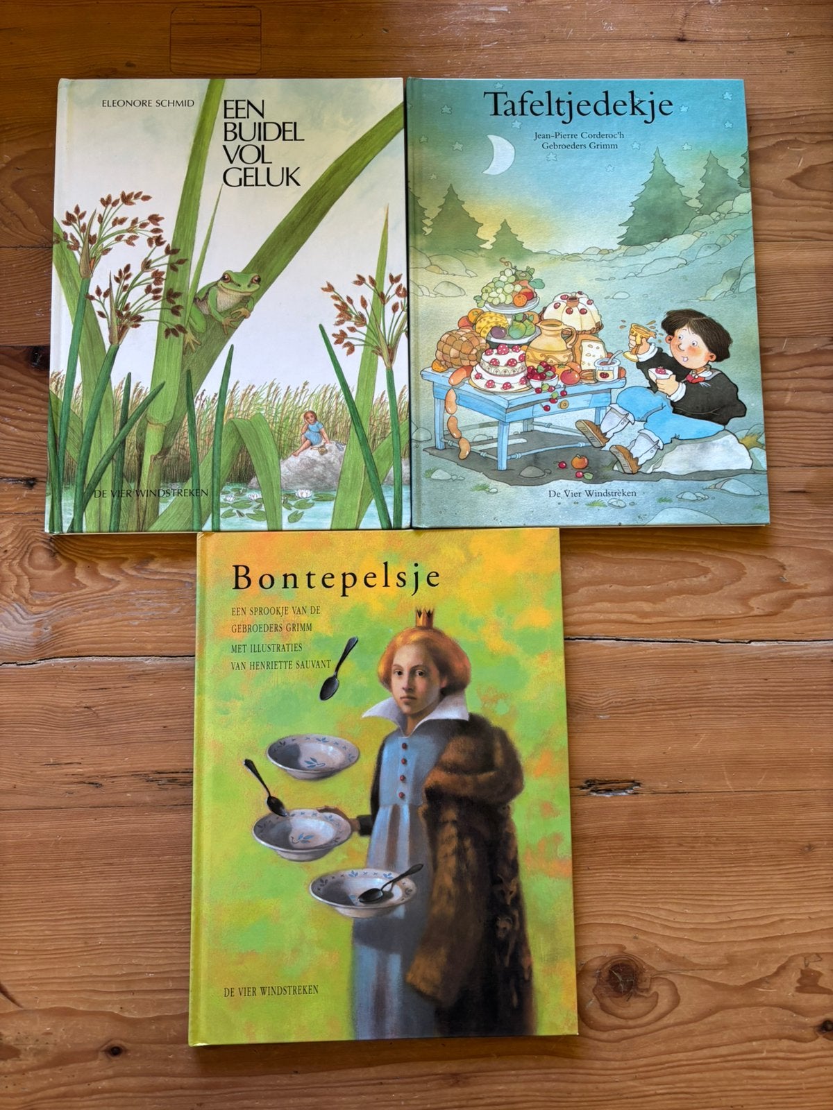 De vier windstreken boeken, Ophalen of Verzenden, Gelezen