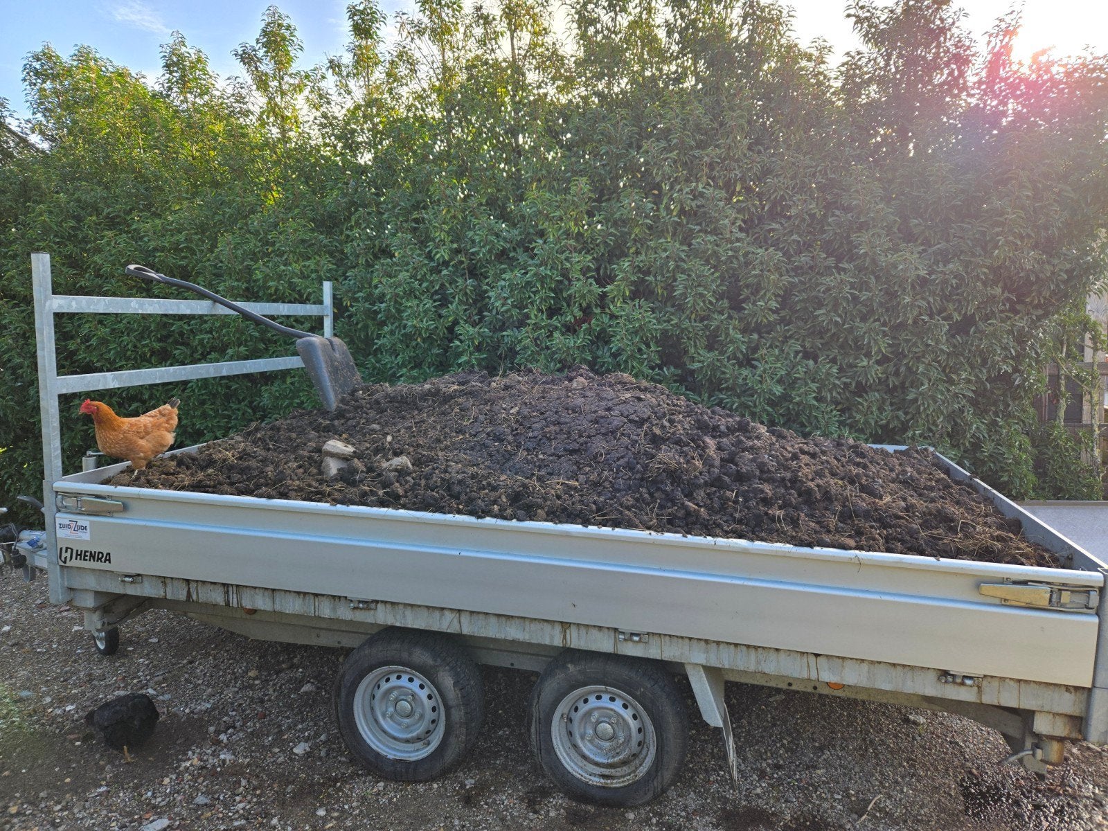 Gratis verse paardenmest voor de tuin / moestuin, Ophalen