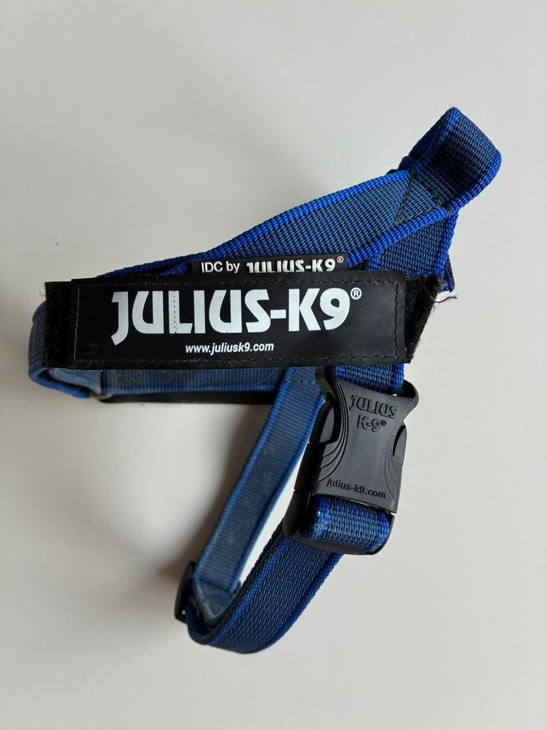 IDC Riemtuig Blauw – maat S / mini van Julius-K9, Ophalen of Verzenden, Zo goed als nieuw, Hondenriem
