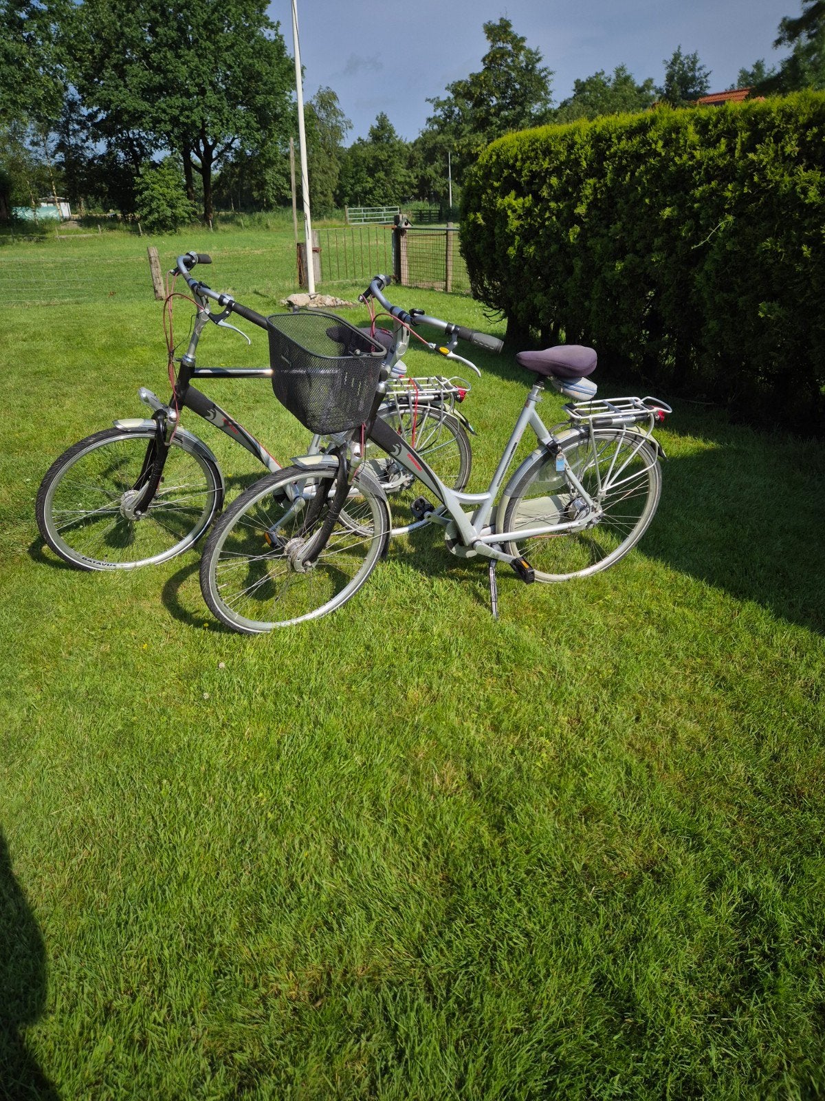 Tweefietsen, Batavus, Ophalen, Velgrem, Versnellingen, Gazelle