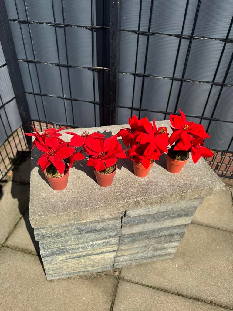 Kerstster kunst 4 X, Kunstbloem, Nieuw, Ophalen of Verzenden, Rood