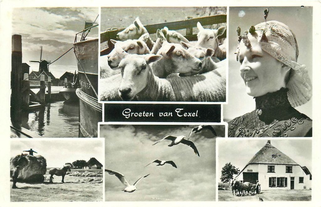 702-077-025 Texel, Verzenden, Voor 1920, Noord-Holland