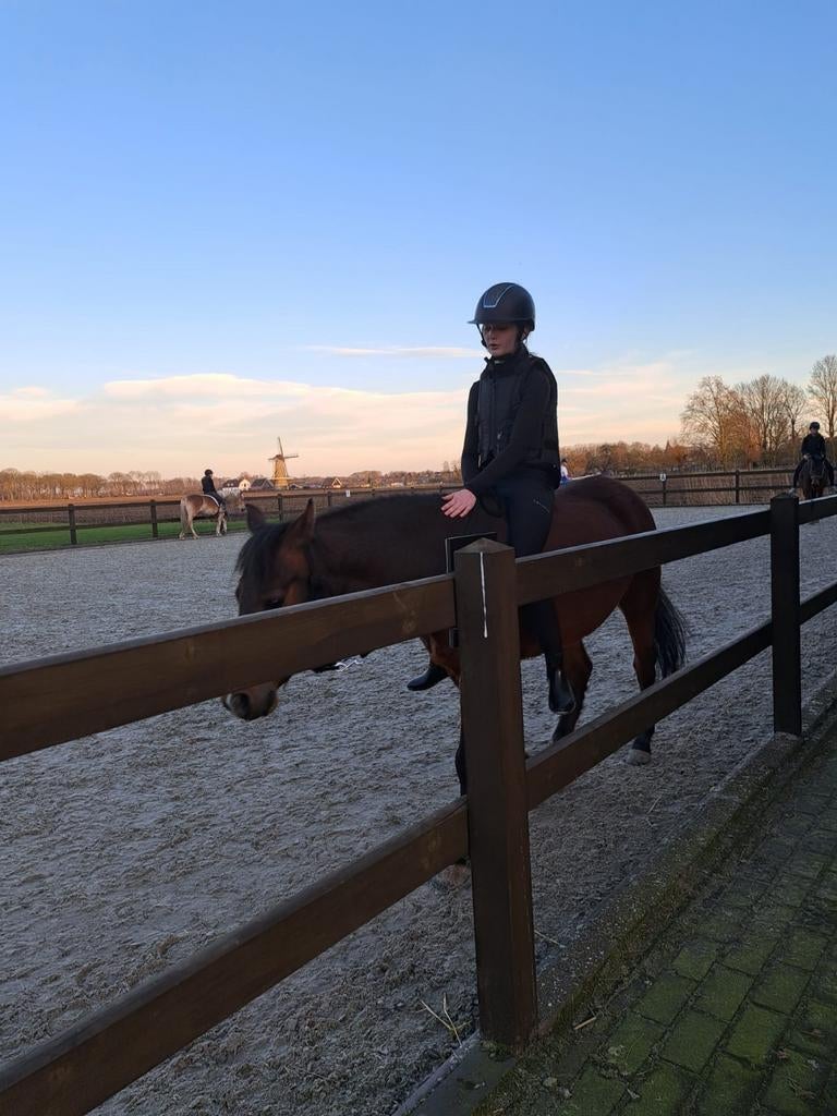 Bijrijder/verzorgster aangeboden! Verzorgpony gezocht!