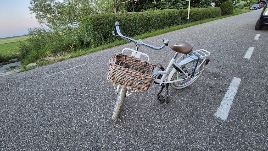 Alpina meidenfiets 20 inch, Ophalen, Terugtraprem, Gebruikt, Alpina