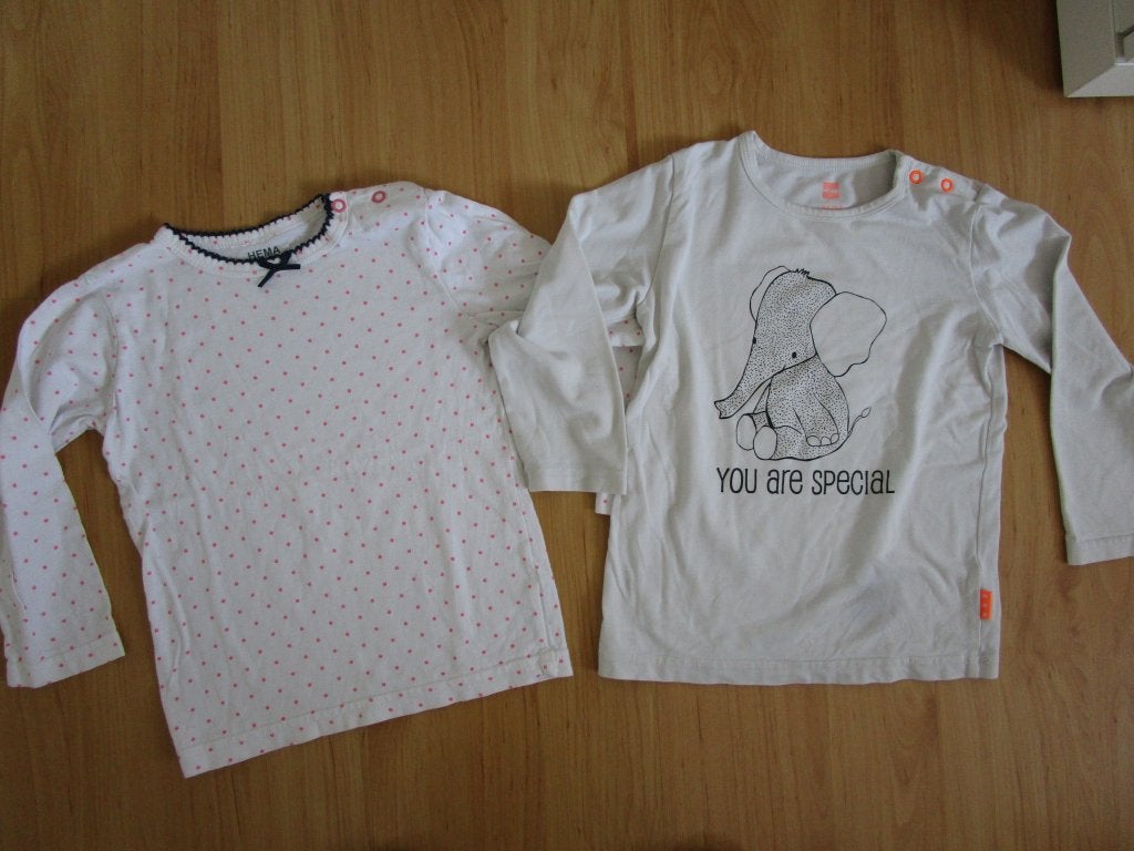 Hema maat 86/92 - twee shirts met lange mouwen, Kinderen en Baby's, Babykleding | Maat 86, Meisje, Ophalen of Verzenden, Zo goed als nieuw