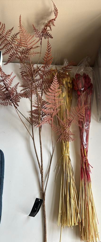 Droogbloemen nieuw, Huis en Inrichting, Ophalen of Verzenden, Nieuw