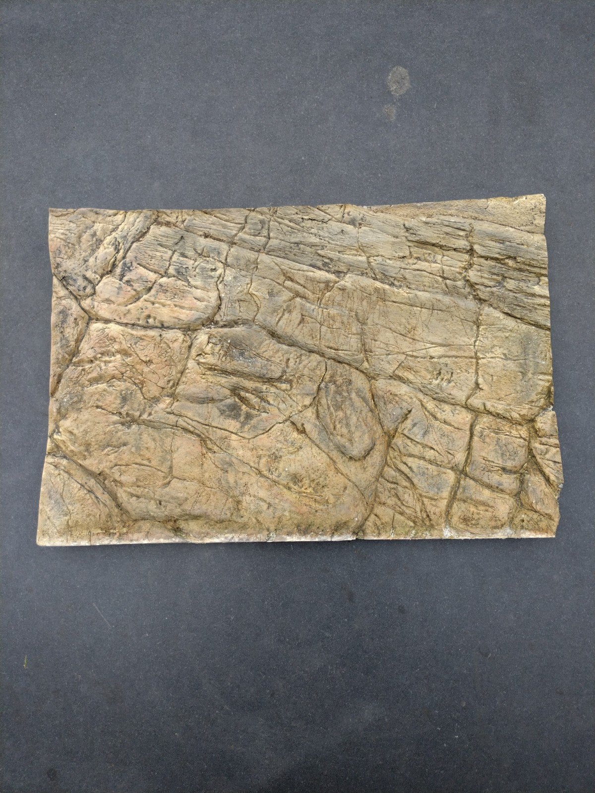 Aquarium achtergrond 48,5x33cm, Ophalen of Verzenden, Plant(en), Steen of Hout
