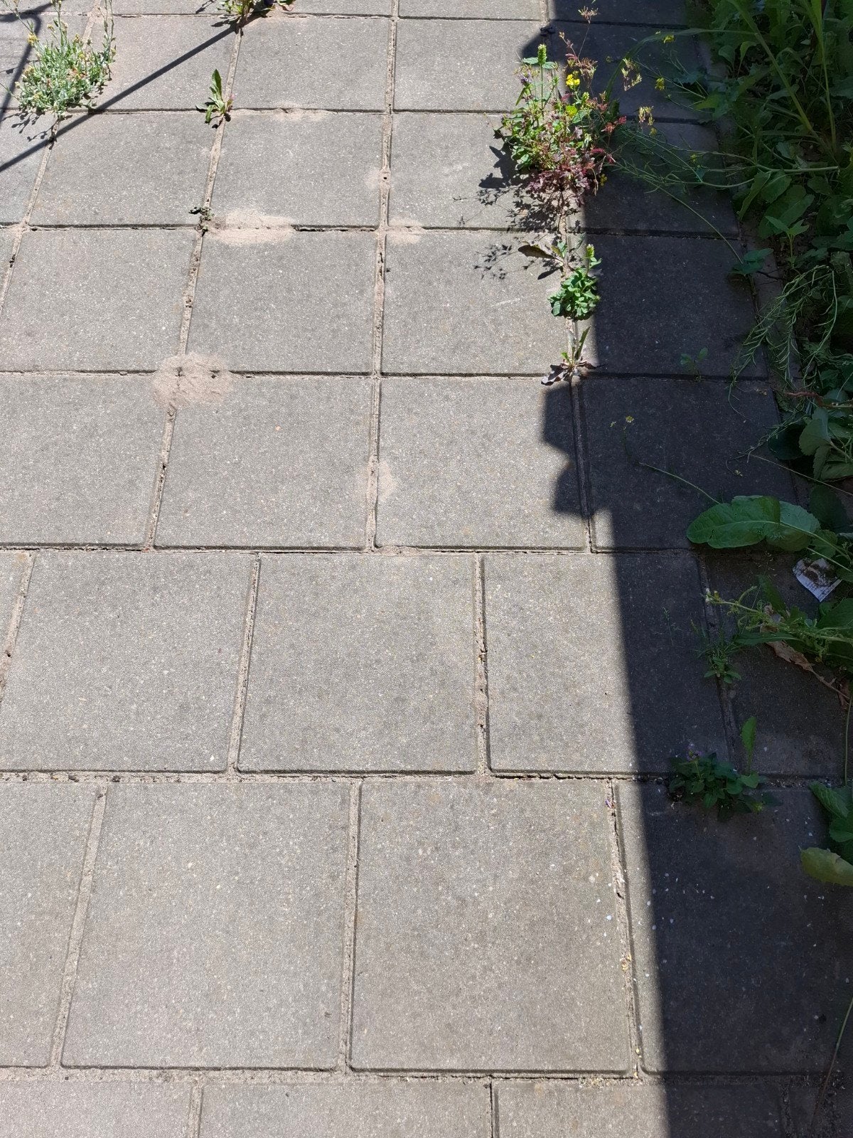 Gratis af te halen 30x30 betontegels, Ophalen of Verzenden, Zo goed als nieuw, 10 m² of meer, Beton