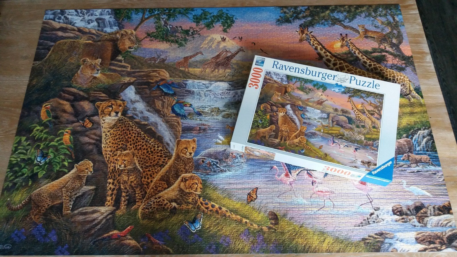 Ravensburger puzzel  Dierenrijk 3000 stukjes  

Op te halen, Ophalen, Meer dan 1500 stukjes, Zo goed als nieuw