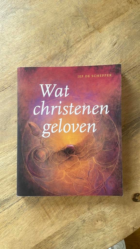 Jef De Schepper - Wat christenen geloven, Ophalen of Verzenden, Zo goed als nieuw, Jef De Schepper