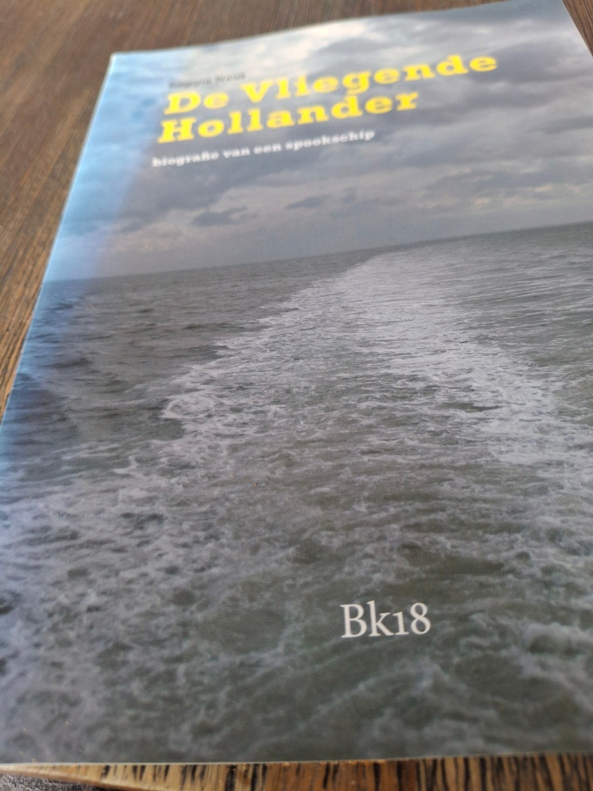 De Vliegende Hollander: biografie van een spookschip, Ophalen of Verzenden, Zo goed als nieuw, Reggie Naus