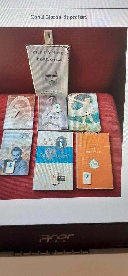 Kahlil Gibran: de profeet,, Ophalen of Verzenden, Nieuw, Overige onderwerpen, Achtergrond en Informatie