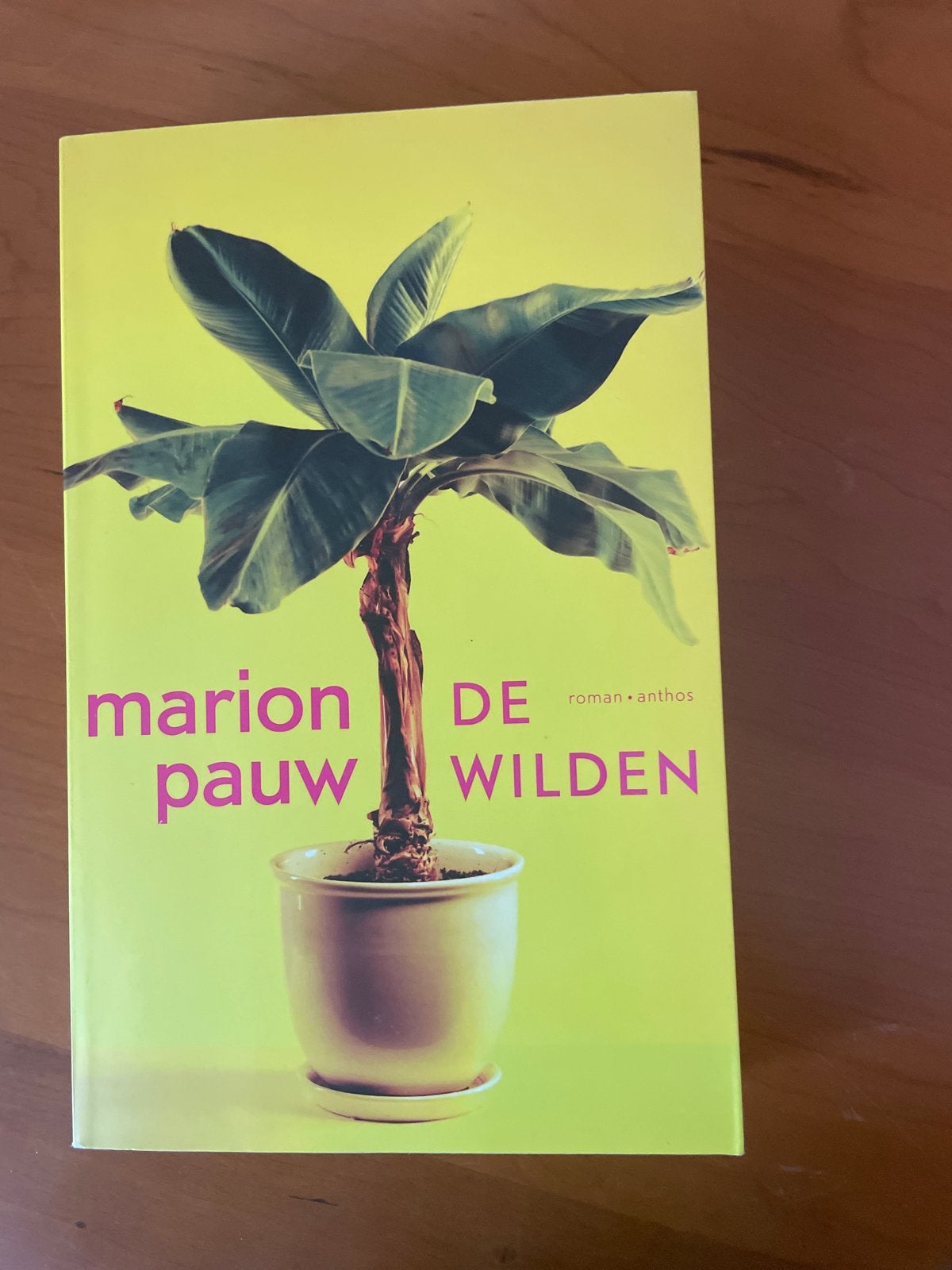 De Wilden - Marion Pauw (roman), Boeken, Ophalen of Verzenden, Gelezen, Nederland