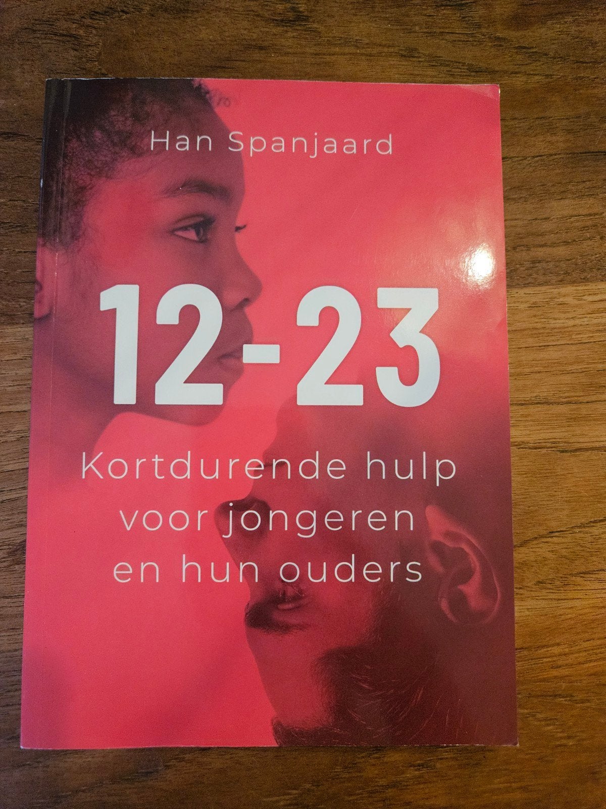 Han Spanjaard - 12-23, Boeken, Ophalen of Verzenden, Zo goed als nieuw, Han Spanjaard, Nederland