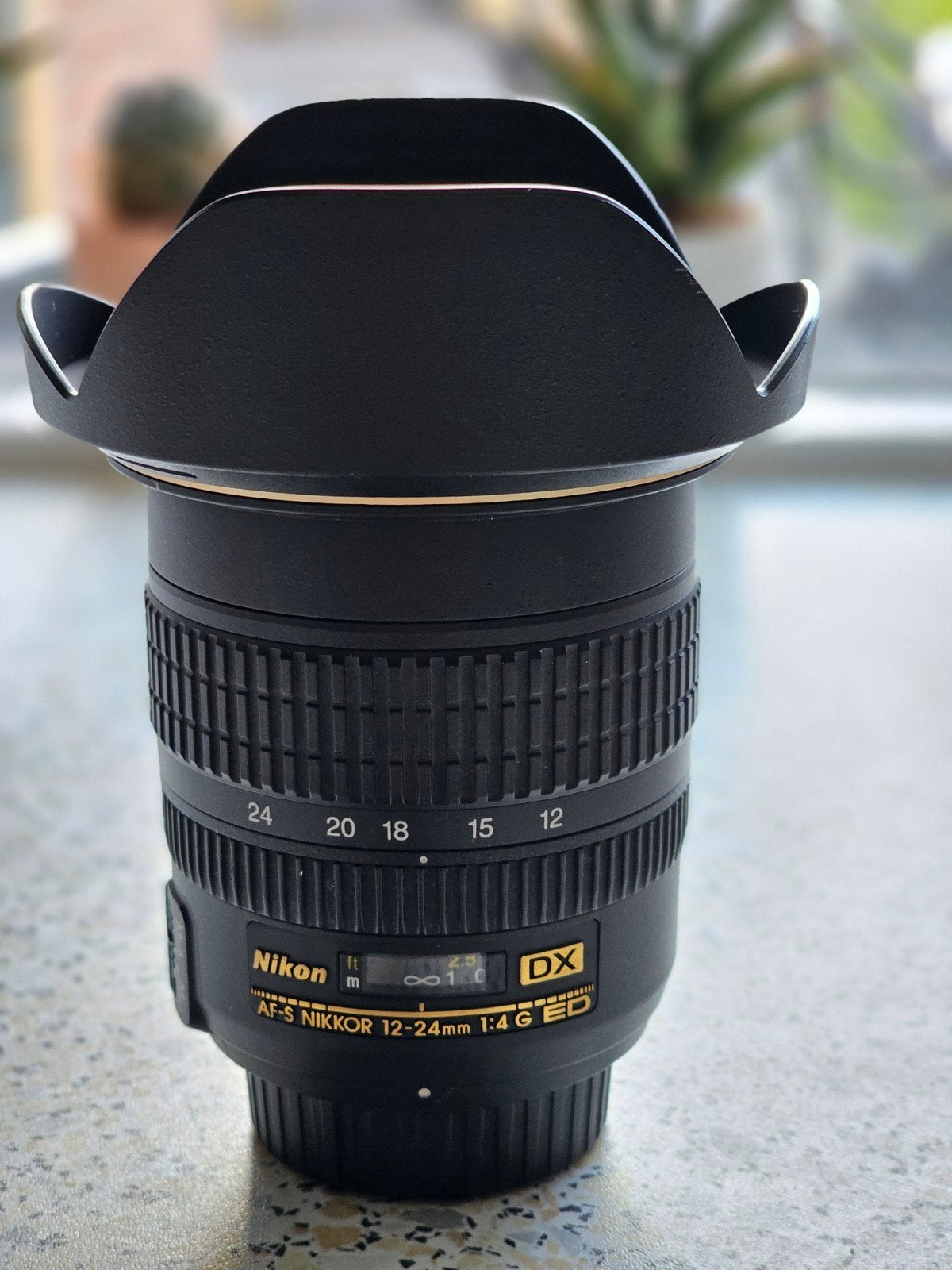 Nikon AF-S Nikkor 12-24mm f/4 G ED DX Groothoeklens, Autofocus, Nikon, Zo goed als nieuw, Nikon F-mount