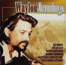 Waylon Jennings, Ophalen of Verzenden, Gebruikt